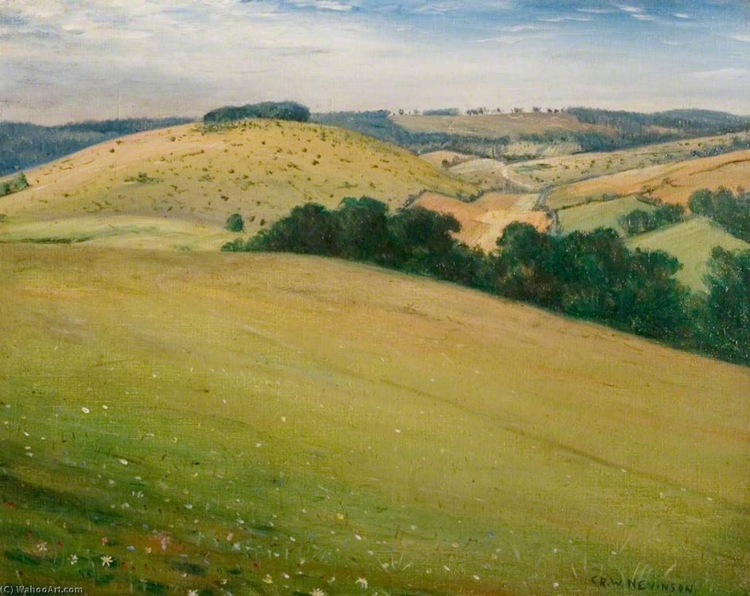 Wikioo.org - The Encyclopedia of Fine Arts - Painting, Artwork by Christopher Richard Wynne Nevinson - Summer in the Downs