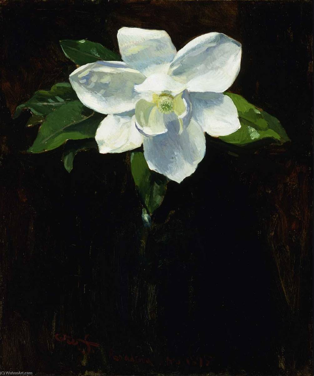 WikiOO.org - Encyclopedia of Fine Arts - Lukisan, Artwork Charles Walter Stetson - Magnolia