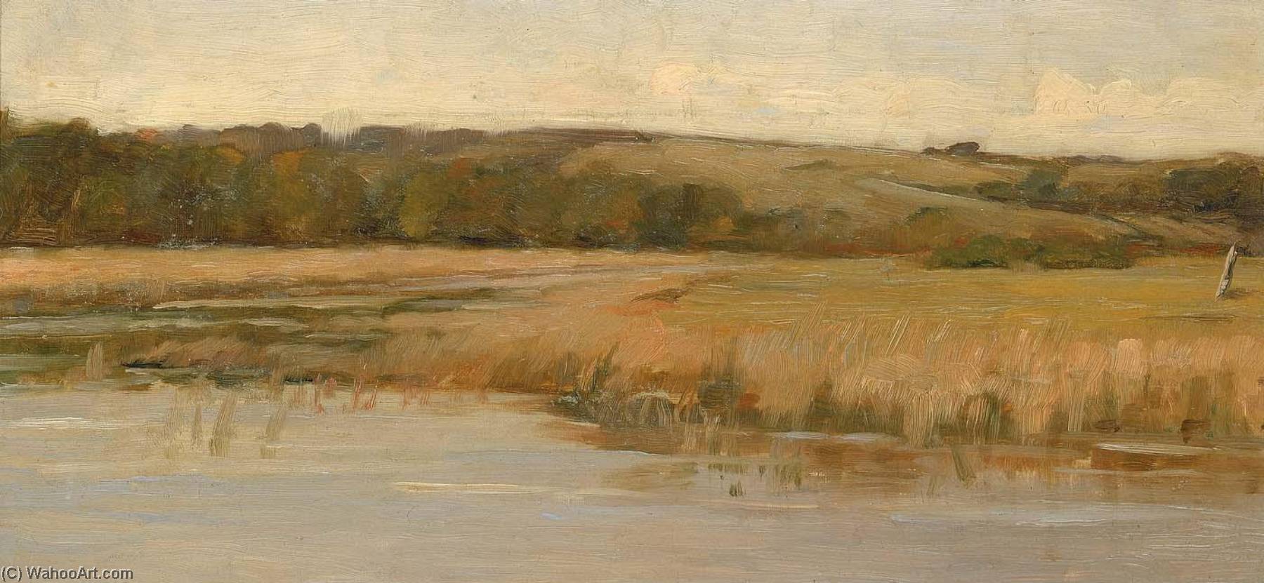 Wikioo.org - The Encyclopedia of Fine Arts - Painting, Artwork by Max Weyl - Hill and Marshland