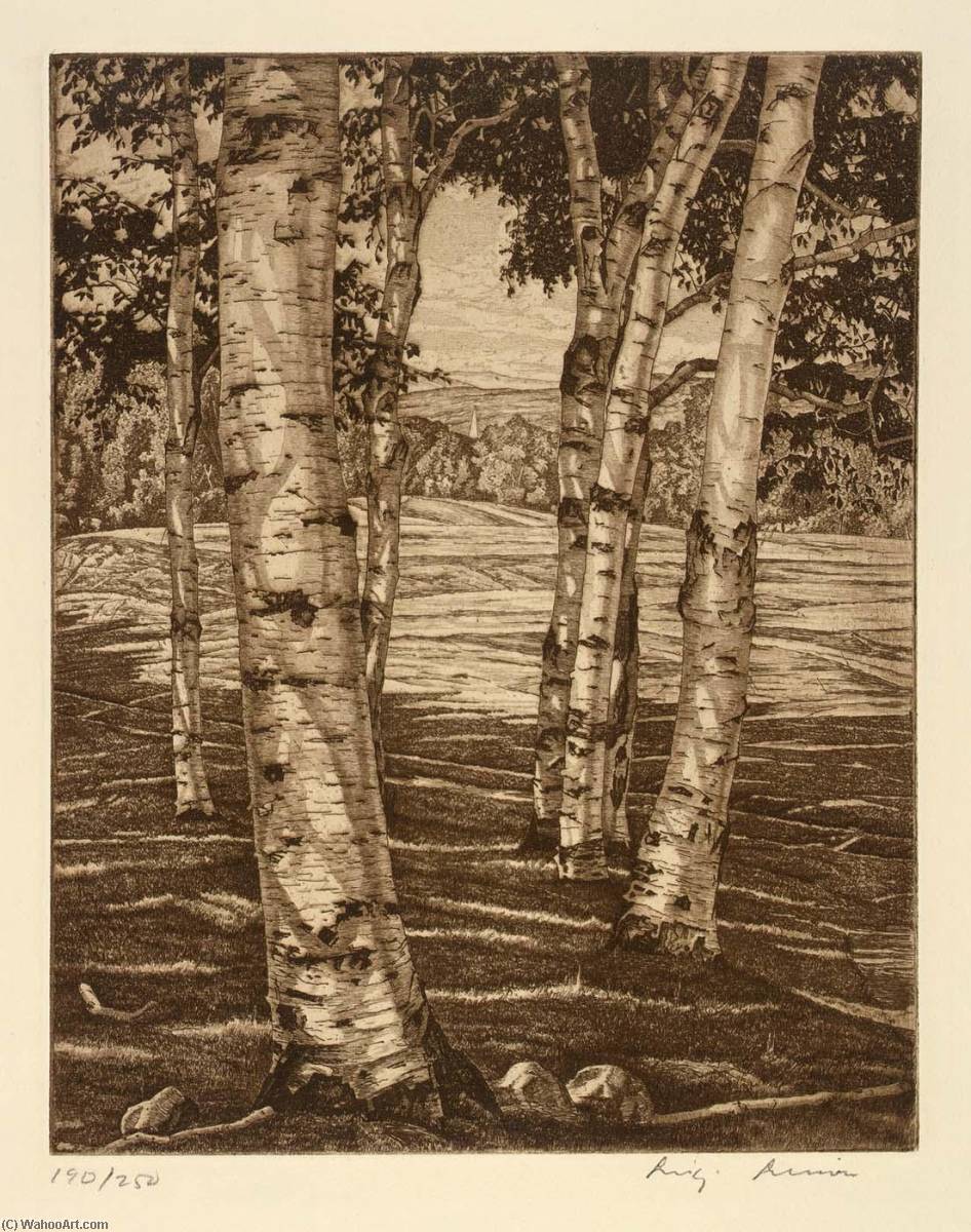 Wikioo.org - The Encyclopedia of Fine Arts - Painting, Artwork by Luigi Lucioni - Birches and Beyond