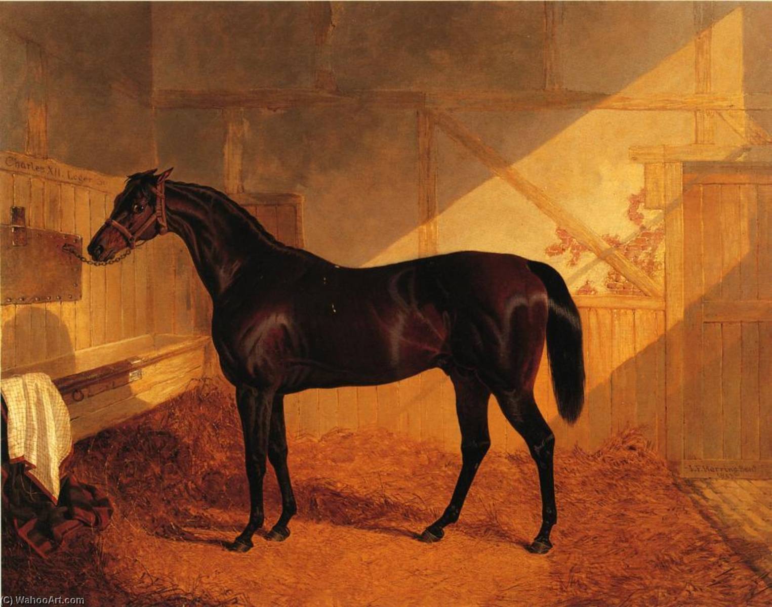 Wikioo.org - The Encyclopedia of Fine Arts - Painting, Artwork by John Frederick Herring Senior - Mr. Johnstone's Charles XII in a Stable