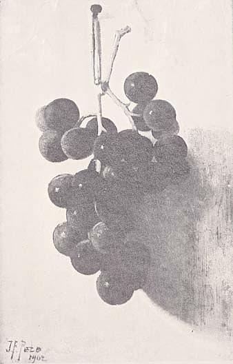Wikioo.org - สารานุกรมวิจิตรศิลป์ - จิตรกรรม John Frederick Peto - Grapes, (painting)