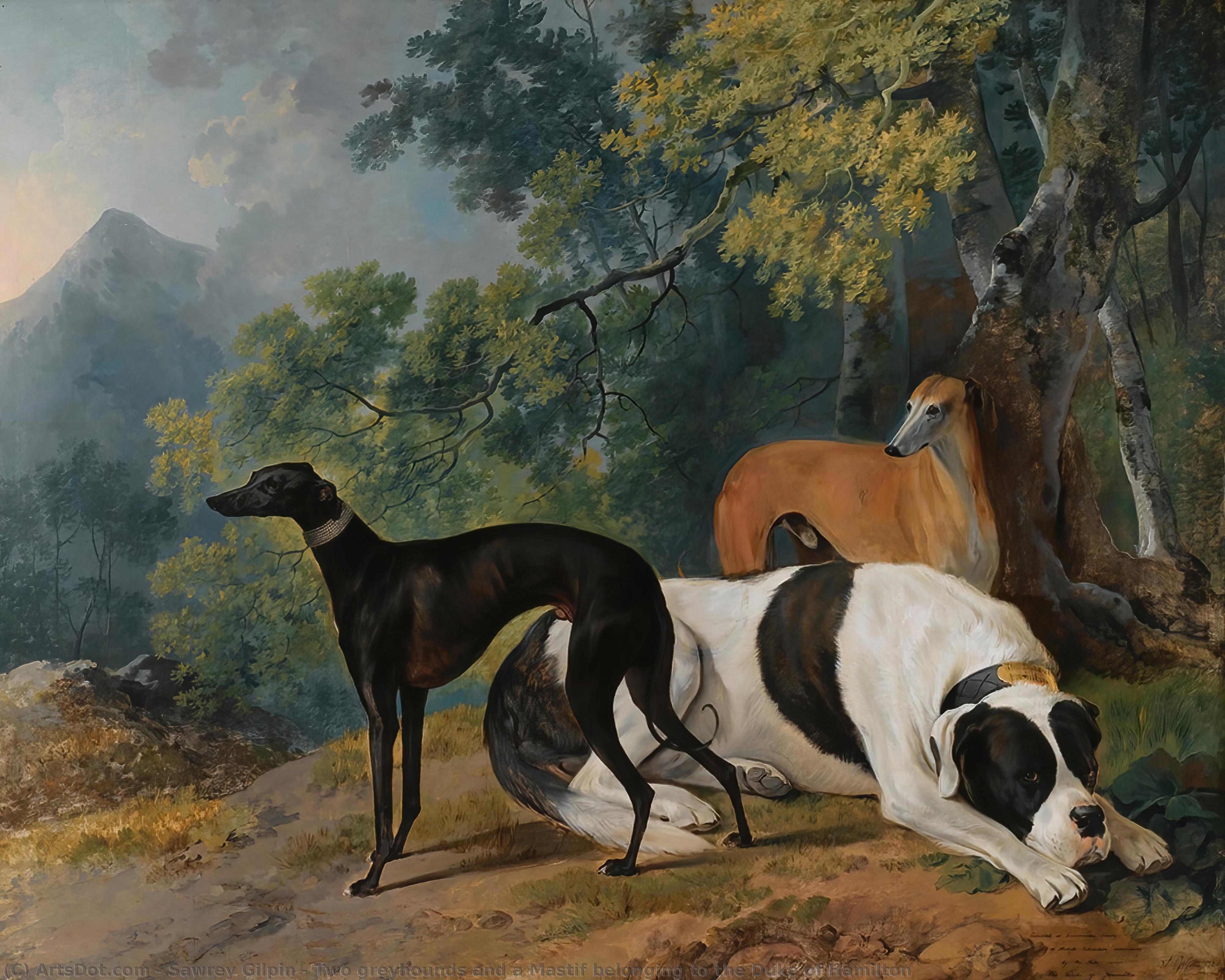 WikiOO.org - Encyclopedia of Fine Arts - Festés, Grafika Sawrey Gilpin - Two greyhounds and a Mastif belonging to the Duke of Hamilton