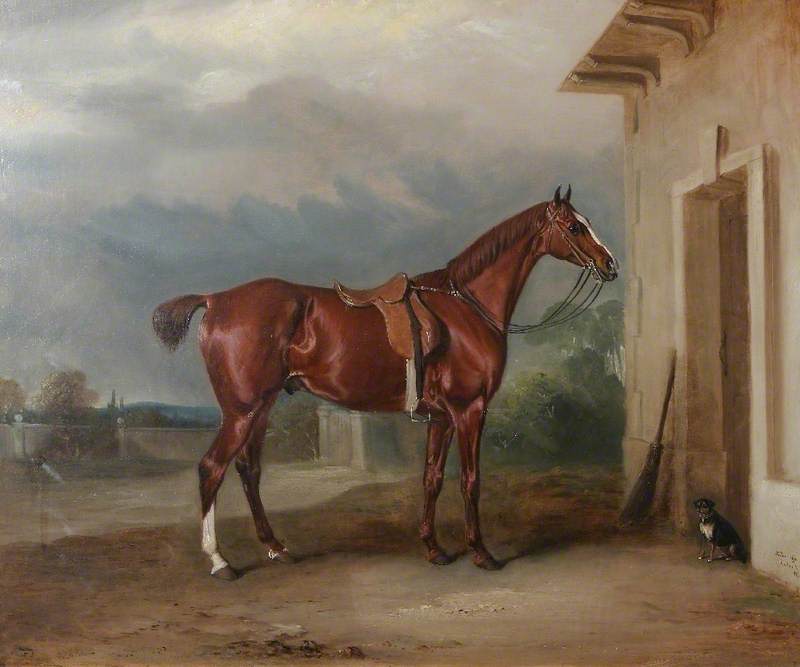 Wikioo.org - สารานุกรมวิจิตรศิลป์ - จิตรกรรม John E Ferneley I - 'Orion', a Chestnut Hunter Outside a Stable