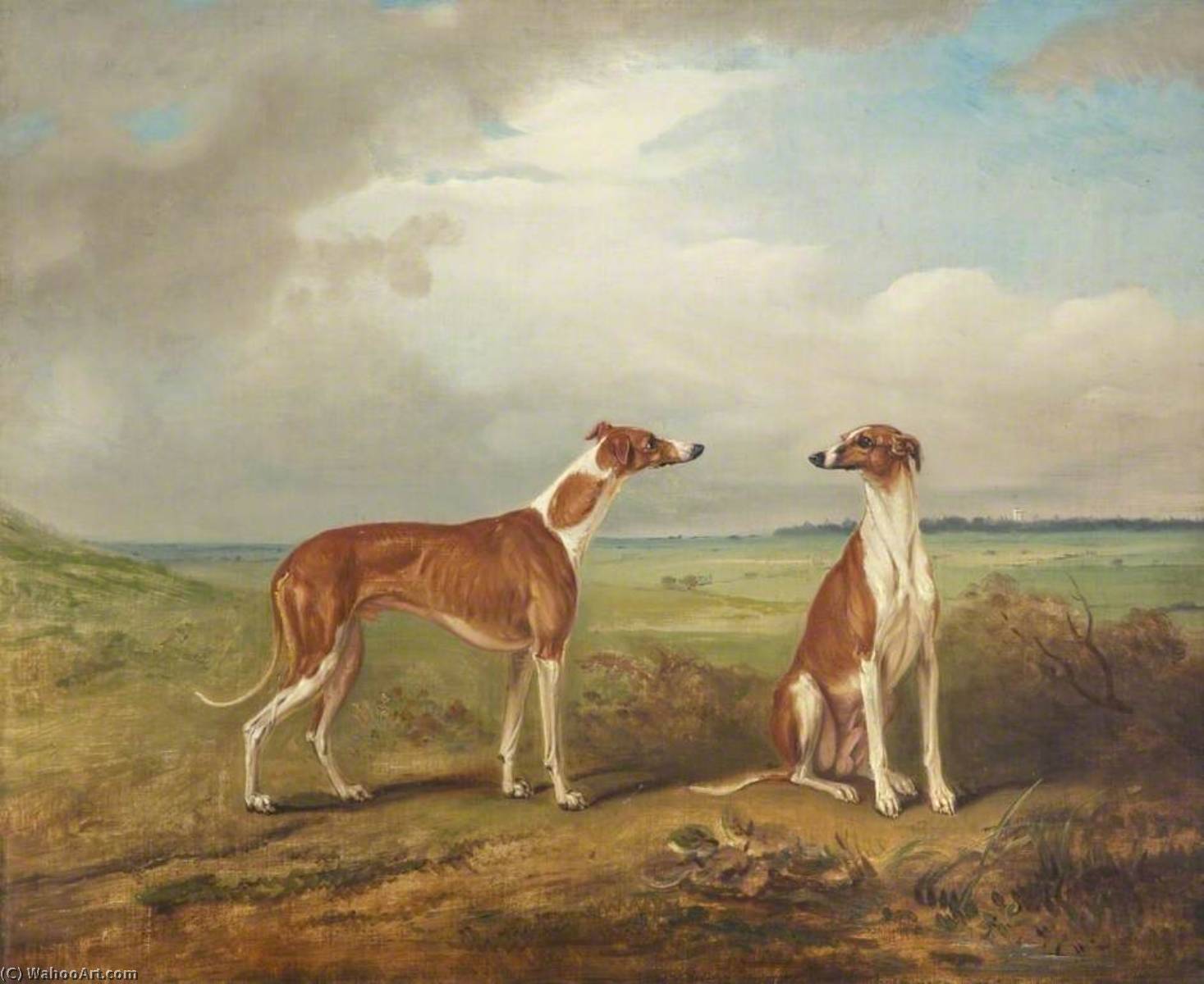 Wikioo.org - The Encyclopedia of Fine Arts - Painting, Artwork by John E Ferneley I - A Pair of Greyhounds