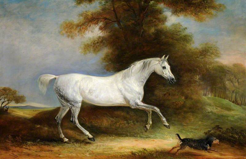 Wikioo.org - The Encyclopedia of Fine Arts - Painting, Artwork by John E Ferneley I - A Dappled Grey Hunter Called 'Spangle' and a Terrier Called 'Reveller'
