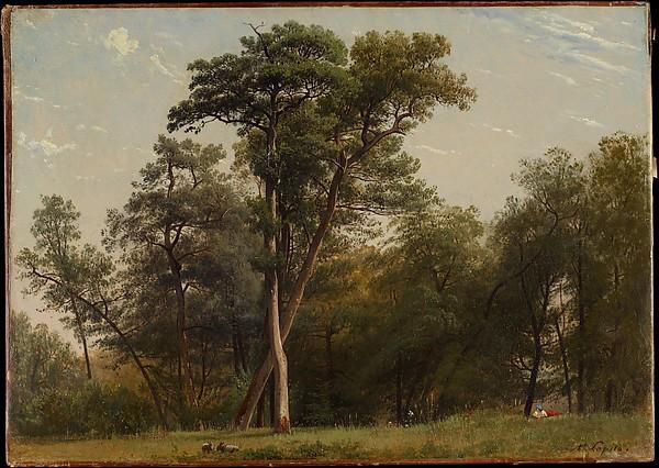 Wikioo.org - The Encyclopedia of Fine Arts - Painting, Artwork by Louis Auguste Lapito - Clearing at the Edge of a Wood