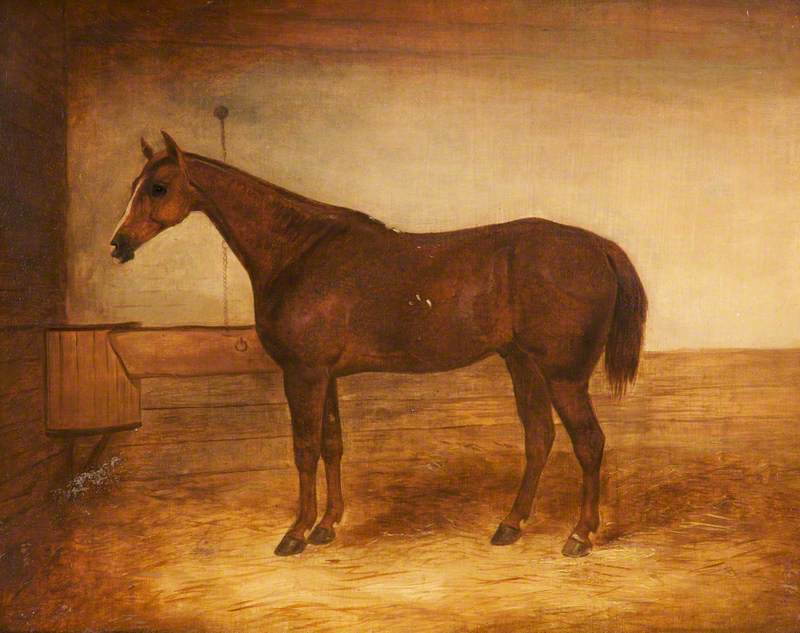 WikiOO.org - Encyclopedia of Fine Arts - Maleri, Artwork John E Ferneley I - A Chestnut Hunter in a Stable
