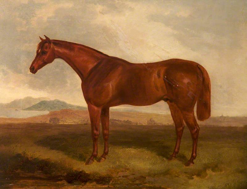 Wikioo.org - The Encyclopedia of Fine Arts - Painting, Artwork by John E Ferneley I - A Chestnut Hunter in a Field