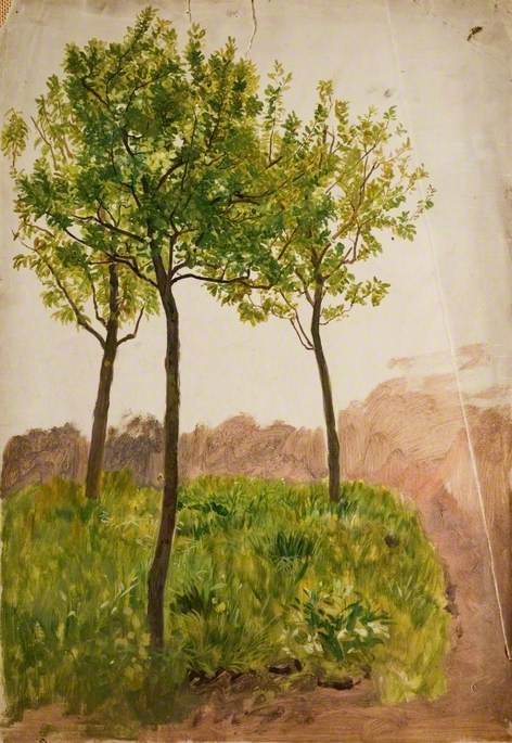 WikiOO.org - Encyclopedia of Fine Arts - Lukisan, Artwork Charles Napier Hemy - Trees