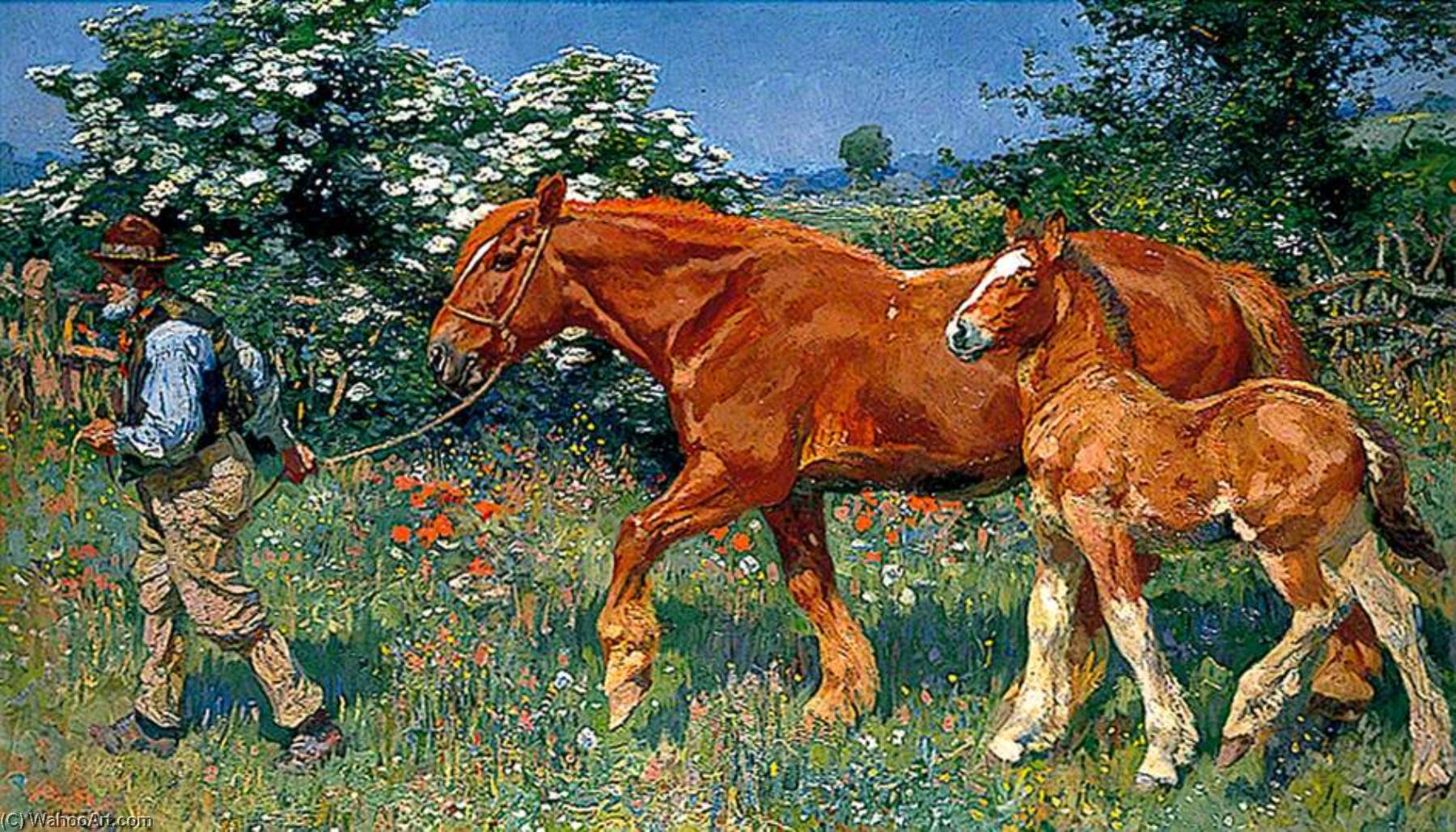 Wikioo.org - The Encyclopedia of Fine Arts - Painting, Artwork by Alfred James Munnings - Sunny June