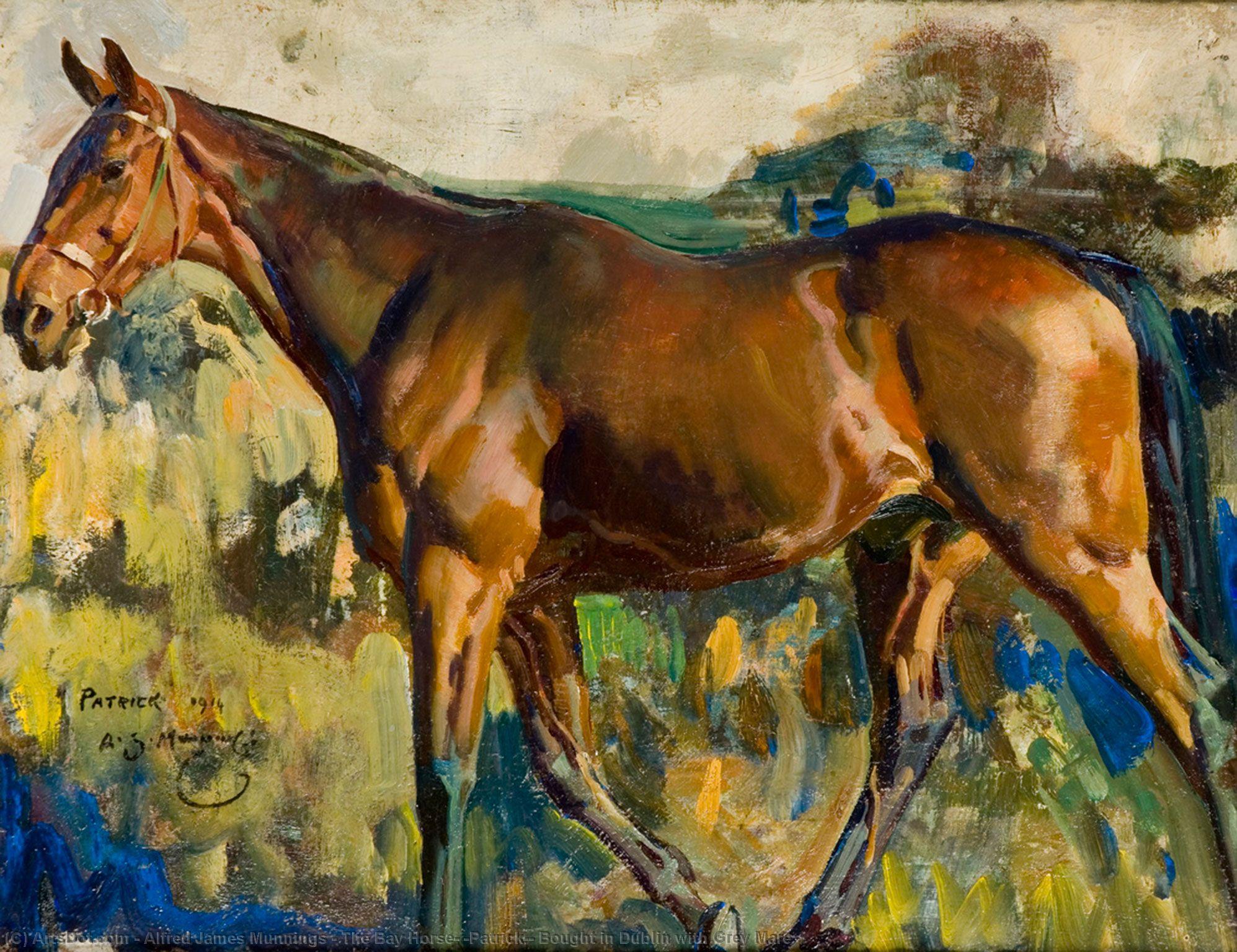 WikiOO.org - Encyclopedia of Fine Arts - Malba, Artwork Alfred James Munnings - The Bay Horse, 'Patrick', Bought in Dublin with Grey Mare