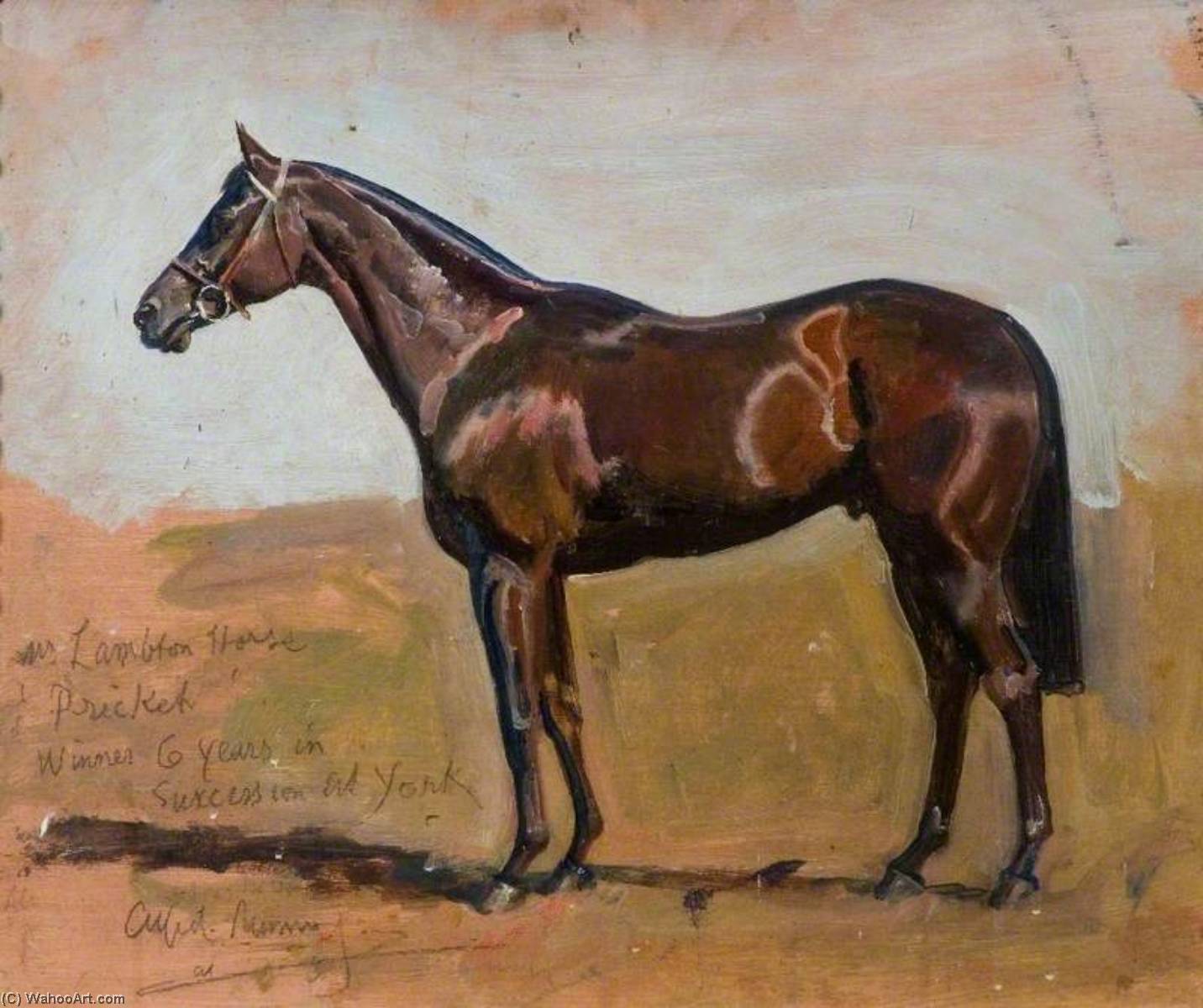 Wikioo.org - The Encyclopedia of Fine Arts - Painting, Artwork by Alfred James Munnings - Study of Mr Lambton's Horse, 'Pricket'