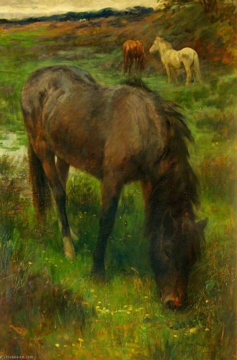 Wikioo.org - The Encyclopedia of Fine Arts - Painting, Artwork by Lucy Elizabeth Kemp Welch - Ponies Grazing