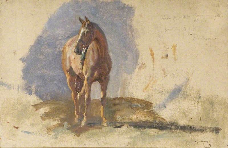 Wikioo.org - The Encyclopedia of Fine Arts - Painting, Artwork by Alfred James Munnings - Study of a Bay Horse, 'Master', Bred by the Artist at Dedham
