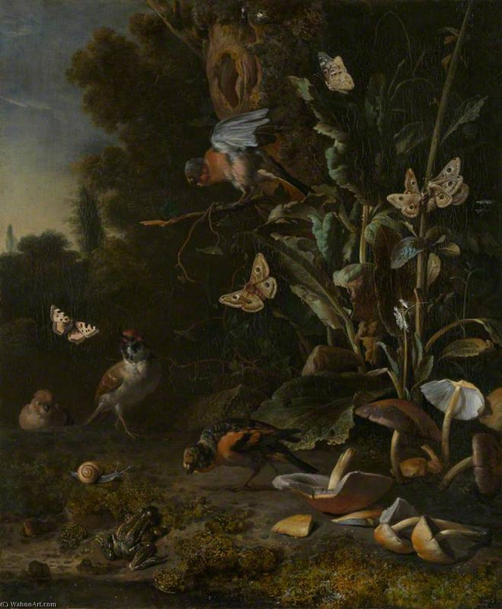 WikiOO.org - Encyclopedia of Fine Arts - Lukisan, Artwork Melchior De Hondecoeter - Birds, Butterflies and a Frog among Plants and Fungi