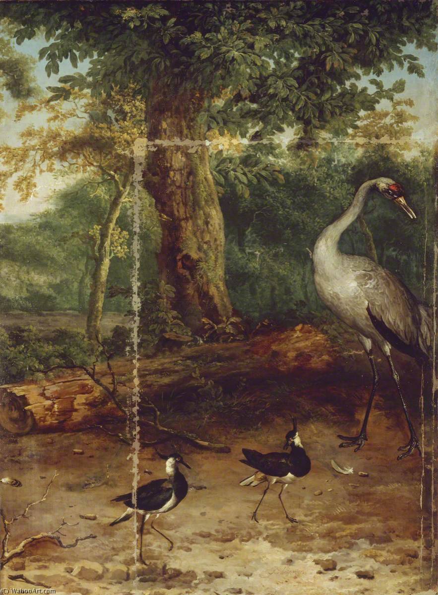 Wikioo.org - The Encyclopedia of Fine Arts - Painting, Artwork by Melchior De Hondecoeter - Birds in a Wood