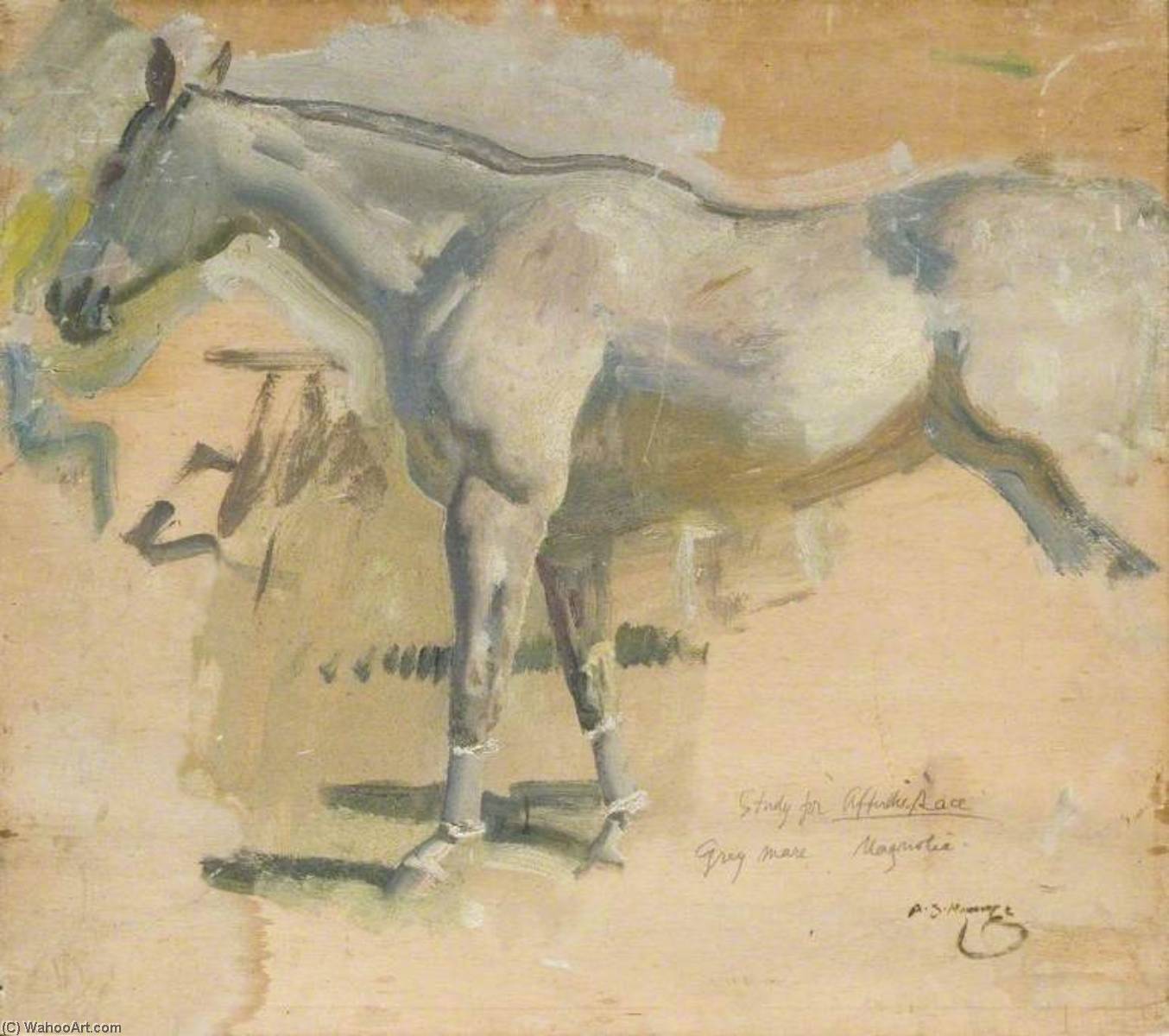 Wikioo.org - The Encyclopedia of Fine Arts - Painting, Artwork by Alfred James Munnings - Study for 'After the Race', the Grey Mare 'Magnolia'