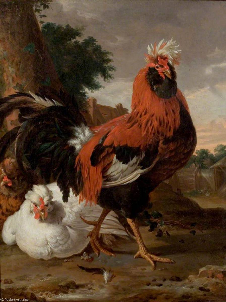Wikioo.org - The Encyclopedia of Fine Arts - Painting, Artwork by Melchior De Hondecoeter - Fowl
