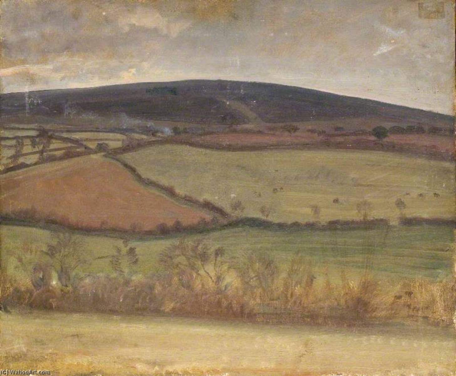 WikiOO.org - Encyclopedia of Fine Arts - Malba, Artwork Alfred James Munnings - A View on Exmoor