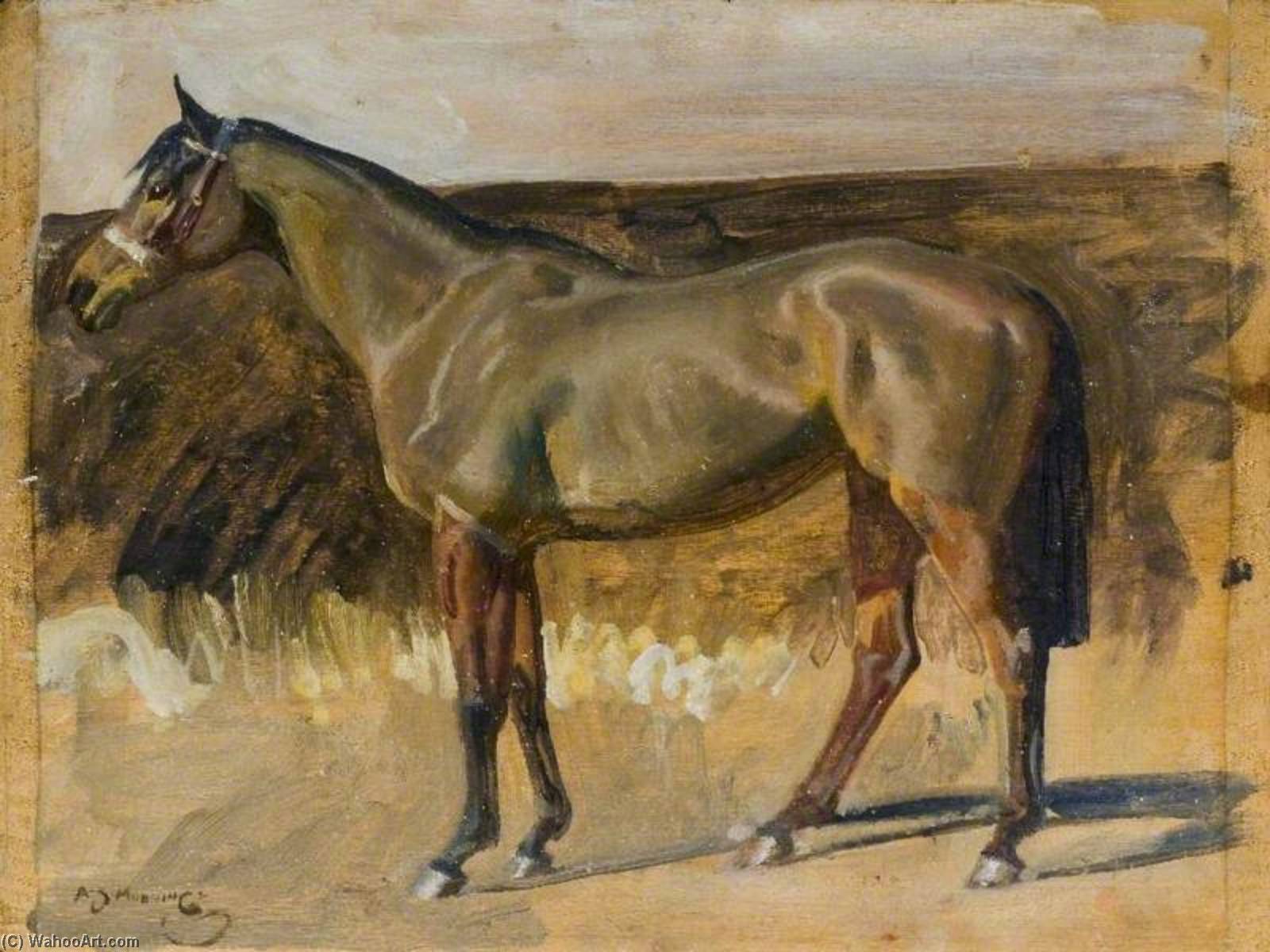 Wikioo.org - The Encyclopedia of Fine Arts - Painting, Artwork by Alfred James Munnings - Study of a Hunter Mare (recto)
