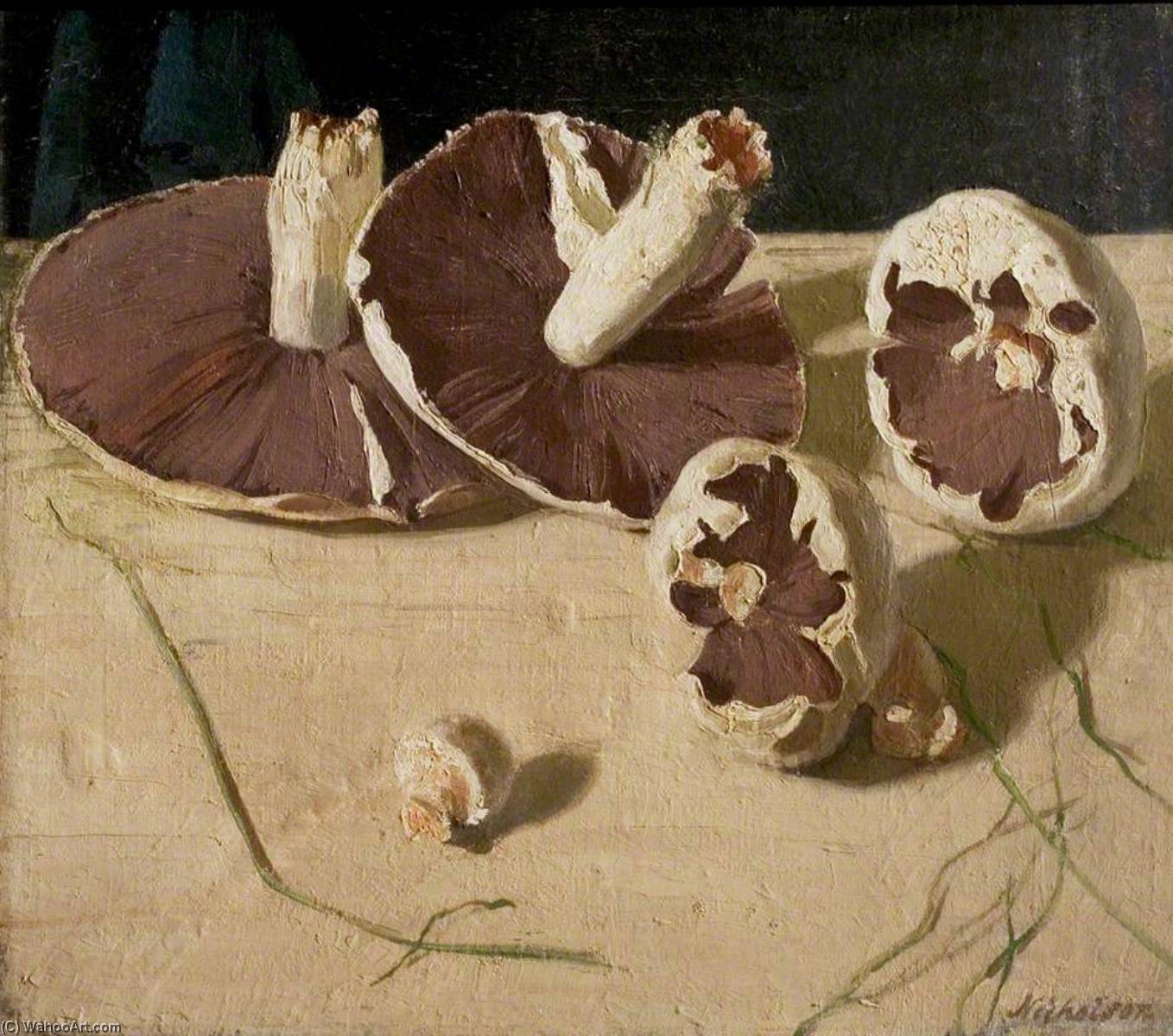 Wikioo.org - The Encyclopedia of Fine Arts - Painting, Artwork by William Newzam Prior Nicholson - Mushrooms
