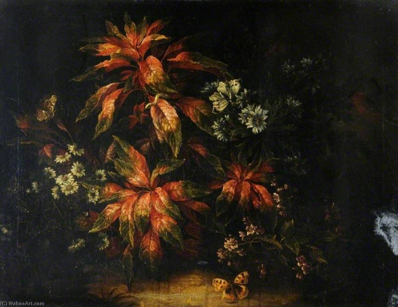 Wikioo.org - Bách khoa toàn thư về mỹ thuật - Vẽ tranh, Tác phẩm nghệ thuật Jean Baptiste Monnoyer - Leaves and Flowers with a Butterfly