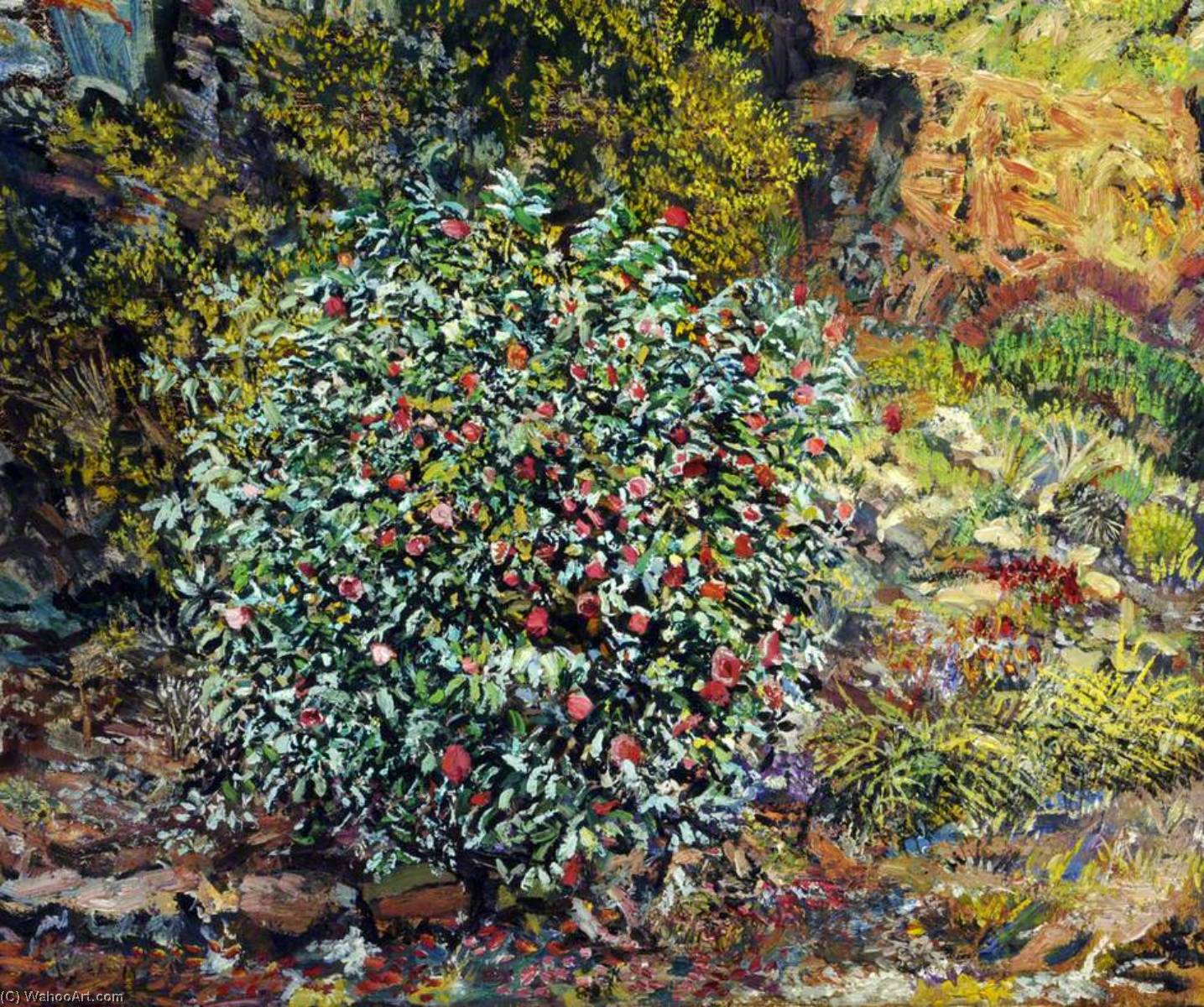 Wikioo.org - The Encyclopedia of Fine Arts - Painting, Artwork by Francis Ferdinand Maurice Cook - Portrait of a Camellia Bush