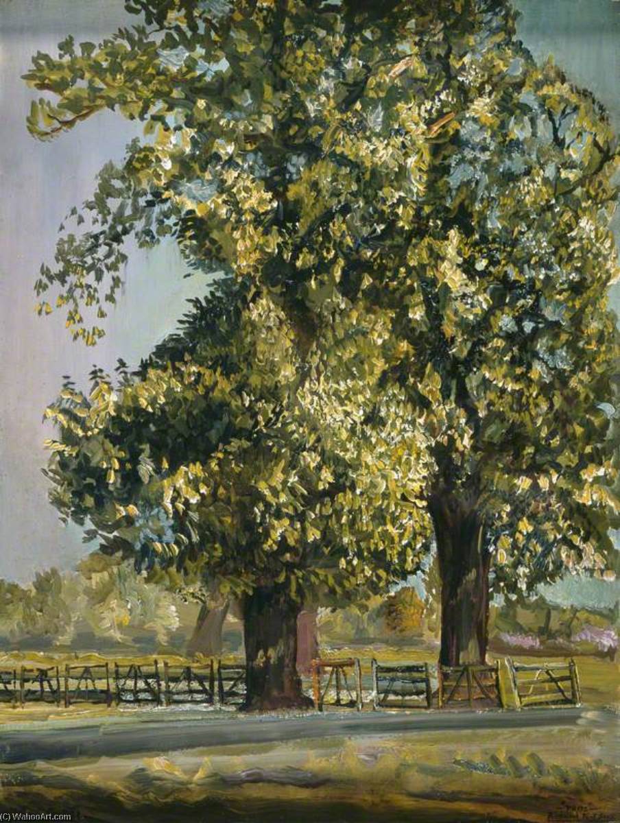 Wikioo.org - The Encyclopedia of Fine Arts - Painting, Artwork by Francis Ferdinand Maurice Cook - Trees, Richmond Park, Surrey