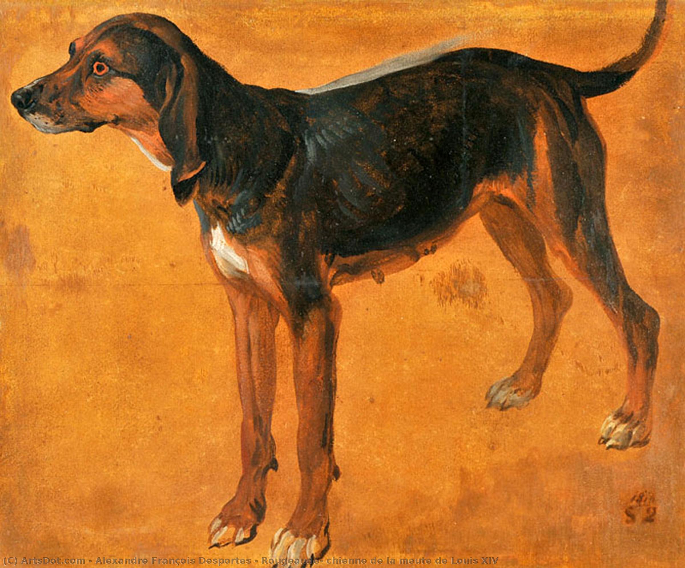 Wikioo.org - The Encyclopedia of Fine Arts - Painting, Artwork by Alexandre François Desportes - Rougeaude, chienne de la meute de Louis XIV