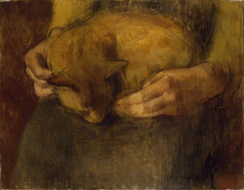 Wikioo.org - The Encyclopedia of Fine Arts - Painting, Artwork by William Menzies Coldstream - Sleeping Cat