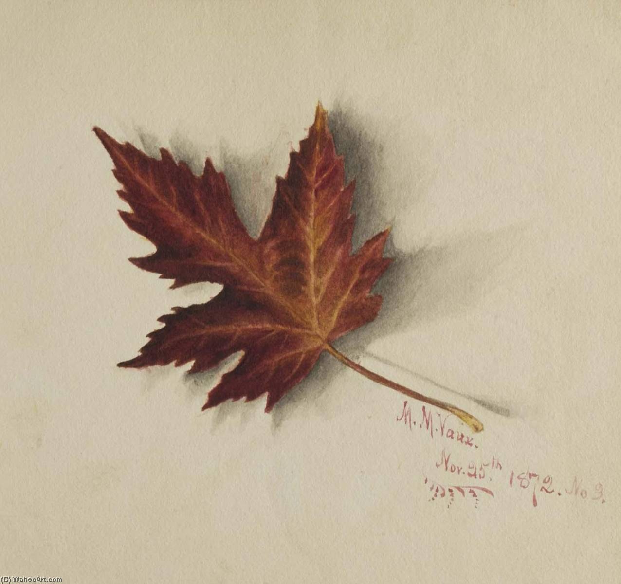 Wikioo.org - The Encyclopedia of Fine Arts - Painting, Artwork by Mary Vaux Walcott - Untitled (Autumn Leaf)