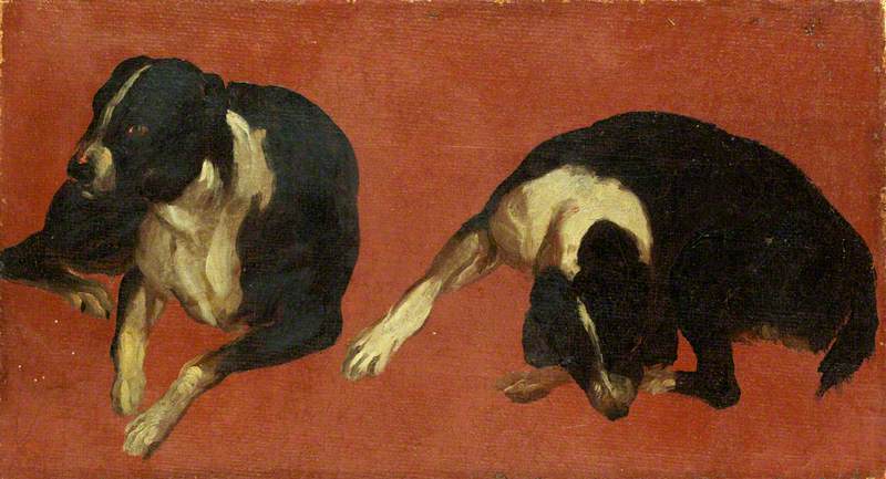 Wikioo.org - The Encyclopedia of Fine Arts - Painting, Artwork by Luca Carlevaris - Two Studies of a Dog