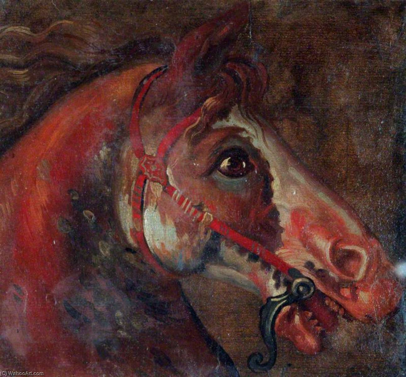 Wikioo.org – L'Enciclopedia delle Belle Arti - Pittura, Opere di Luca Carlevaris - studio di una Testa di cavallo