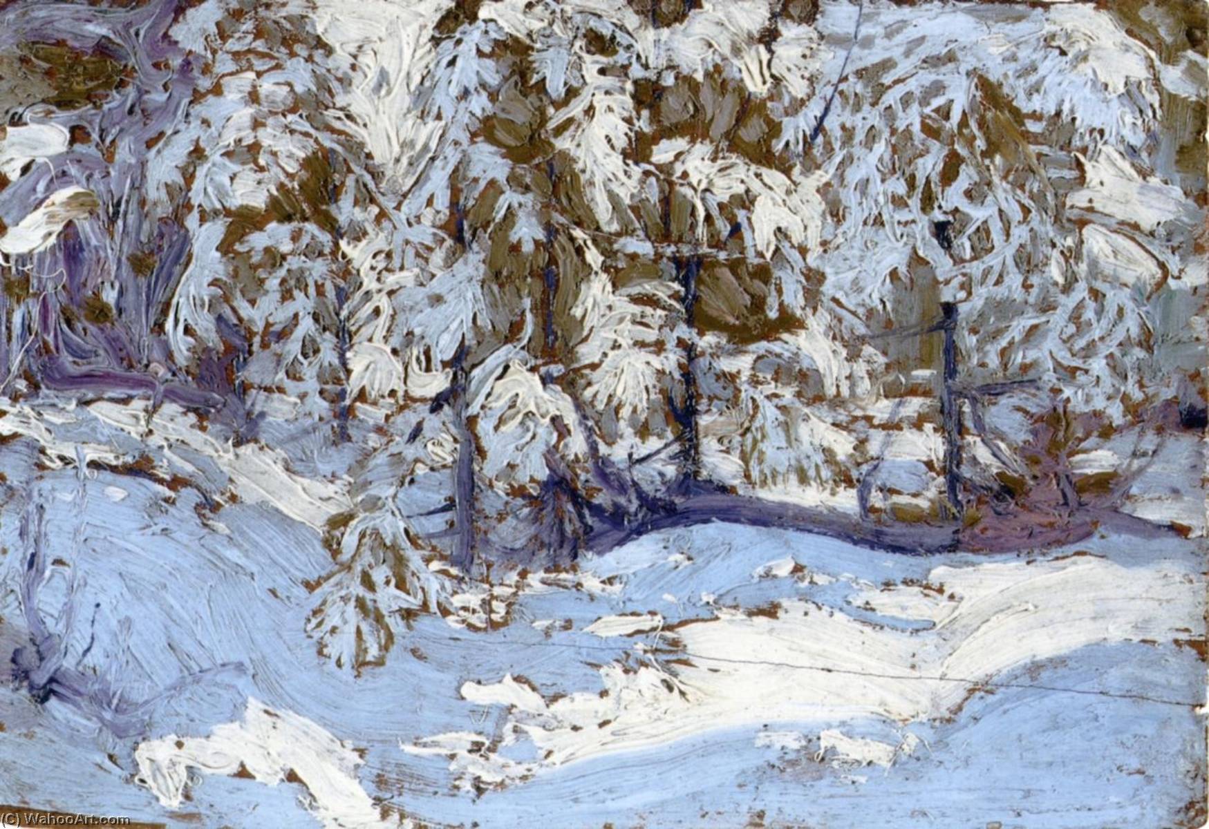 Wikioo.org - The Encyclopedia of Fine Arts - Painting, Artwork by Tom Thomson - First Snow in Autumn