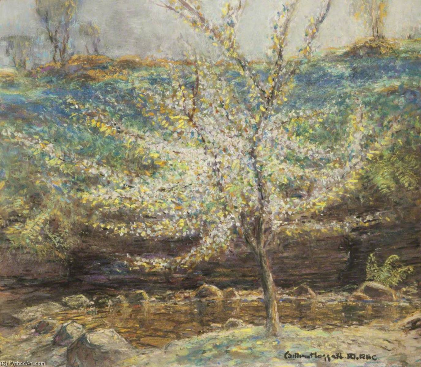 Wikioo.org - The Encyclopedia of Fine Arts - Painting, Artwork by William Hoggatt - The Cherry Tree