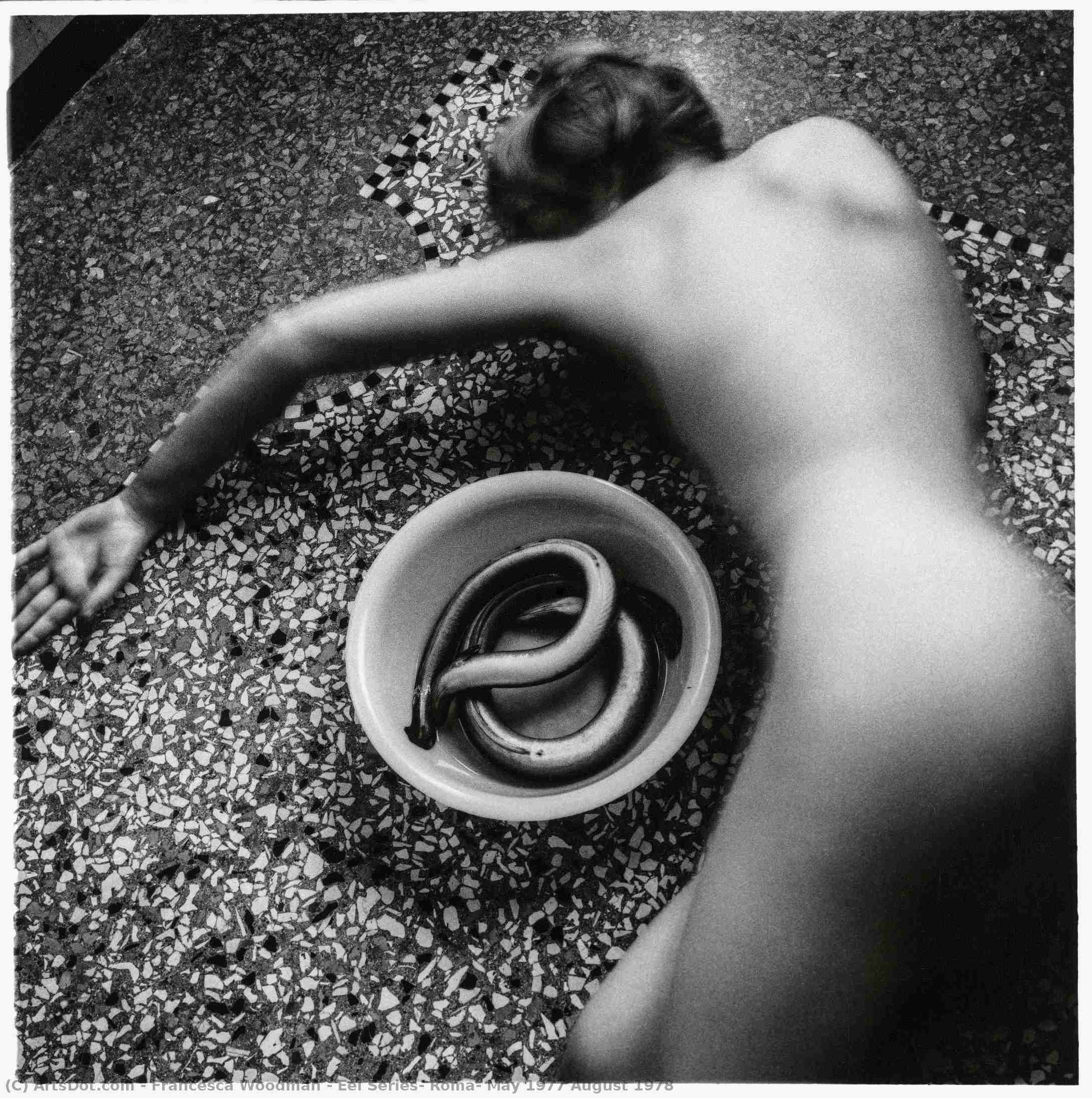 Wikioo.org - The Encyclopedia of Fine Arts - Painting, Artwork by Francesca Woodman - Eel Series, Roma, May 1977 August 1978