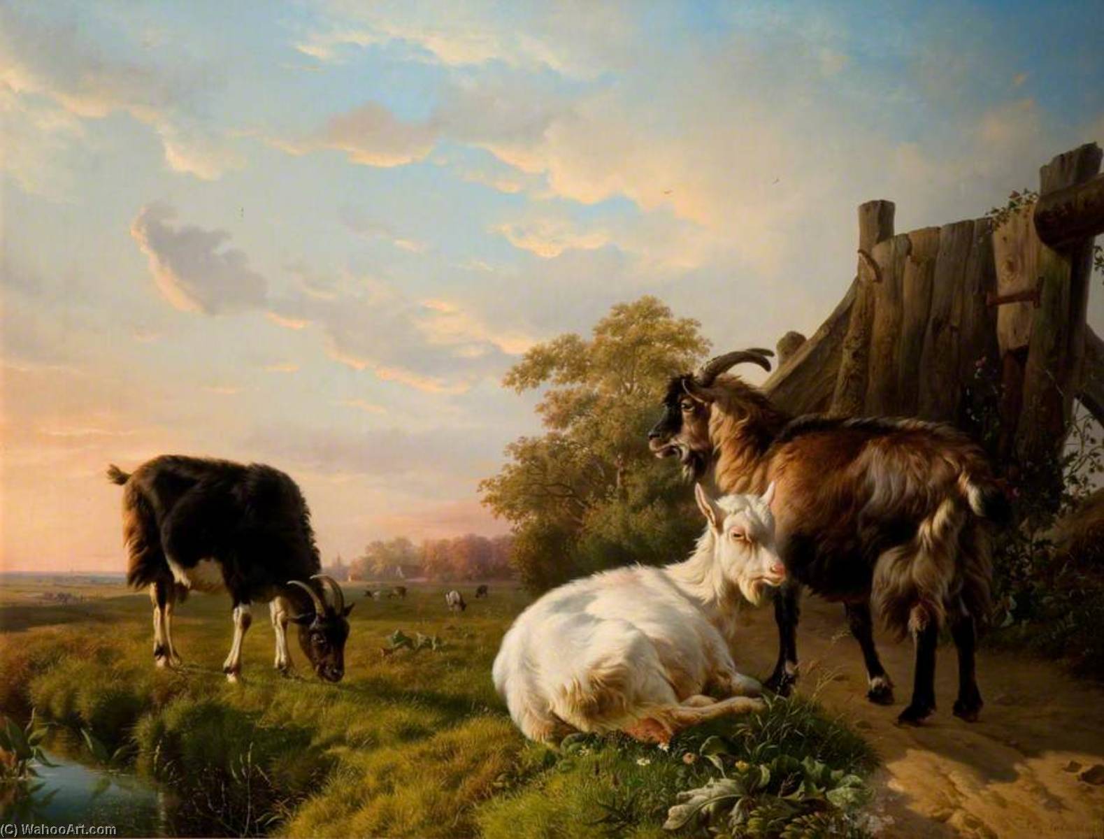 Wikioo.org - The Encyclopedia of Fine Arts - Painting, Artwork by Eugène Joseph Verboeckhoven - Goats