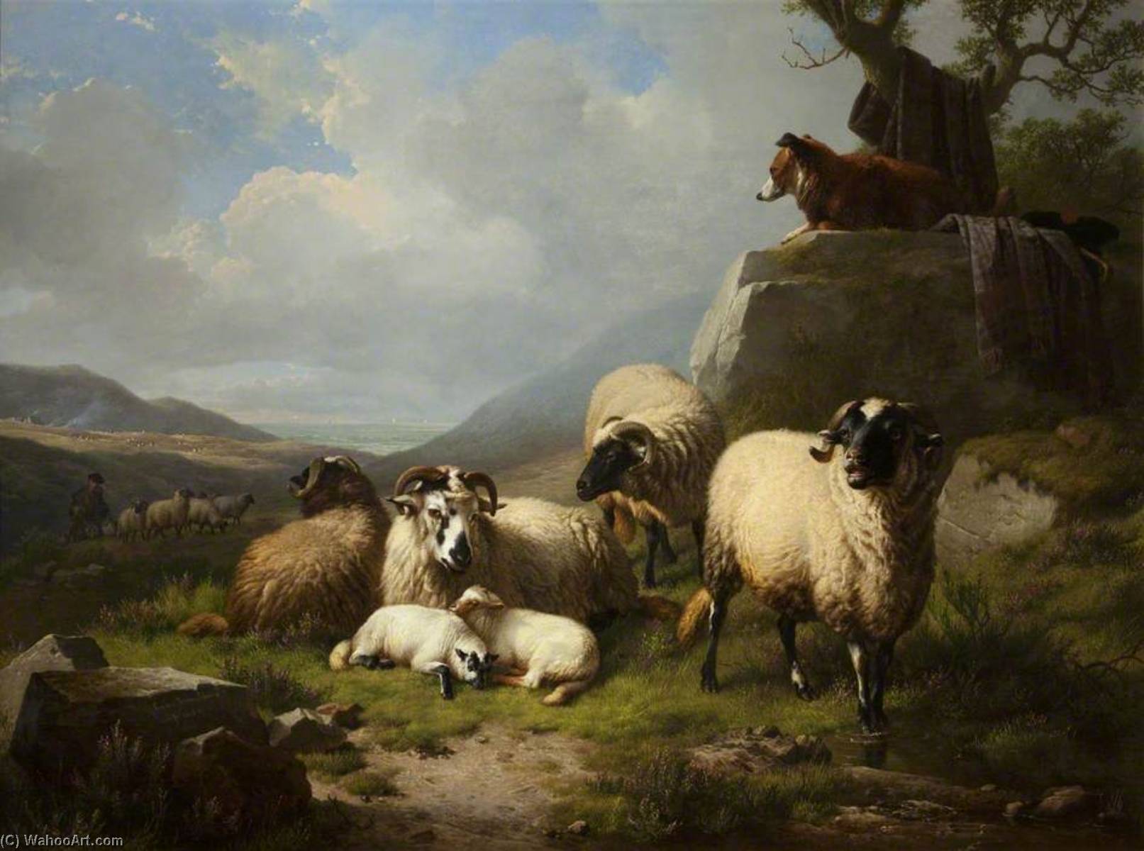 Wikioo.org - The Encyclopedia of Fine Arts - Painting, Artwork by Eugène Joseph Verboeckhoven - Group of Sheep