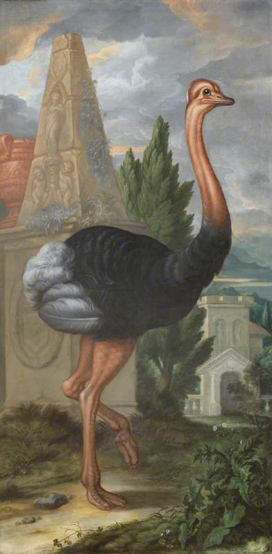 Wikioo.org - The Encyclopedia of Fine Arts - Painting, Artwork by Francis Barlow - An Ostrich