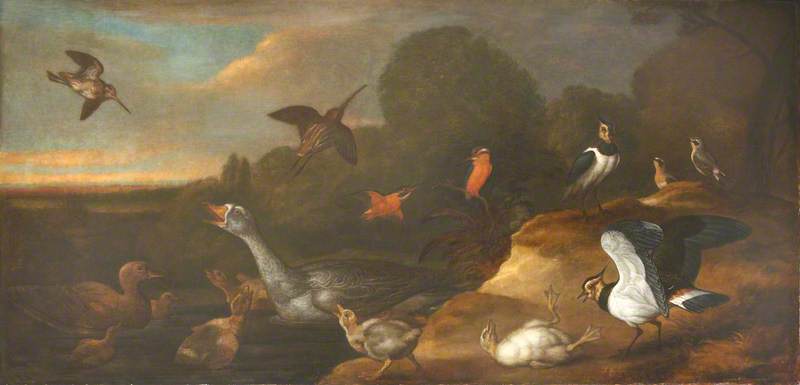 Wikioo.org - The Encyclopedia of Fine Arts - Painting, Artwork by Francis Barlow - A Goose with Goslings, Curlews, and Other Marsh and Moorland Birds