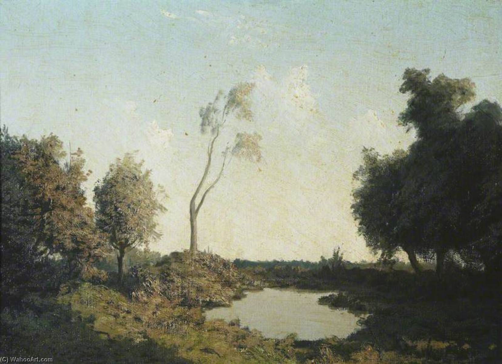 Wikioo.org - The Encyclopedia of Fine Arts - Painting, Artwork by Algernon Cecil Newton - A Forest Pool