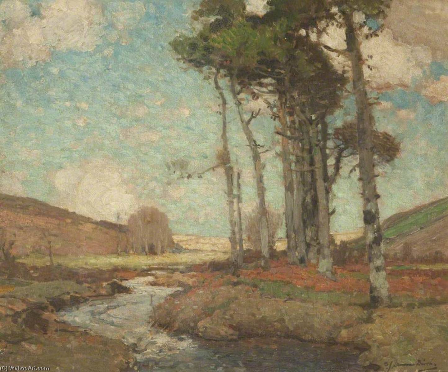 Wikioo.org - The Encyclopedia of Fine Arts - Painting, Artwork by Samuel John Lamorna Birch - Trees by a Moorland stream
