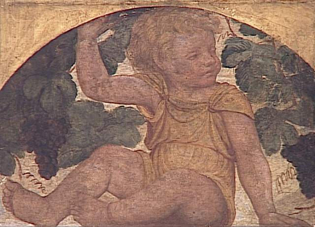 WikiOO.org - Encyclopedia of Fine Arts - Lukisan, Artwork Bernardino Luini - ENFANT ASSIS SOUS UNE TREILLE