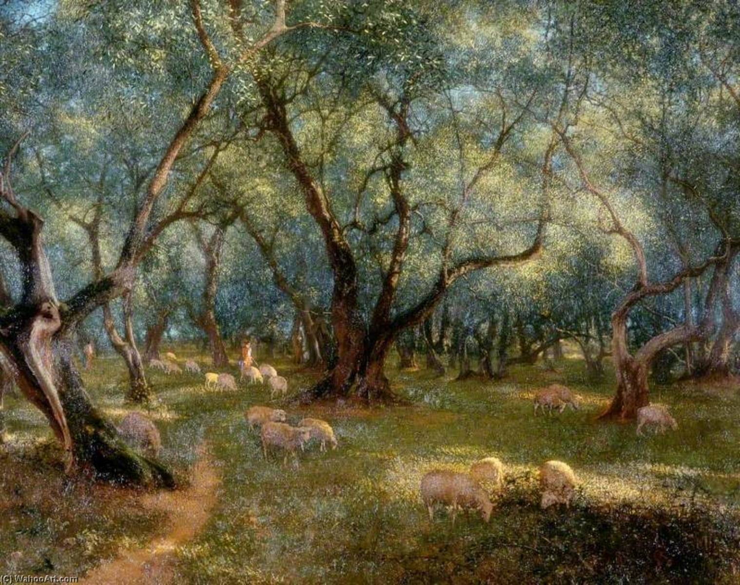 Wikioo.org - The Encyclopedia of Fine Arts - Painting, Artwork by Thomas Bowman Garvie - Olives of St Rocco