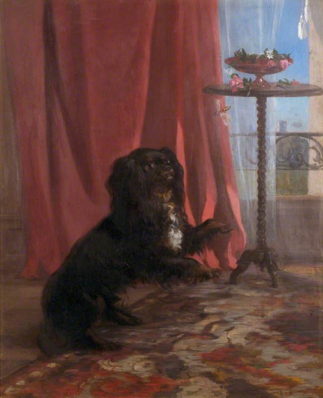 Wikioo.org - The Encyclopedia of Fine Arts - Painting, Artwork by Francois Bocion - The Reverend Townshend's Dog