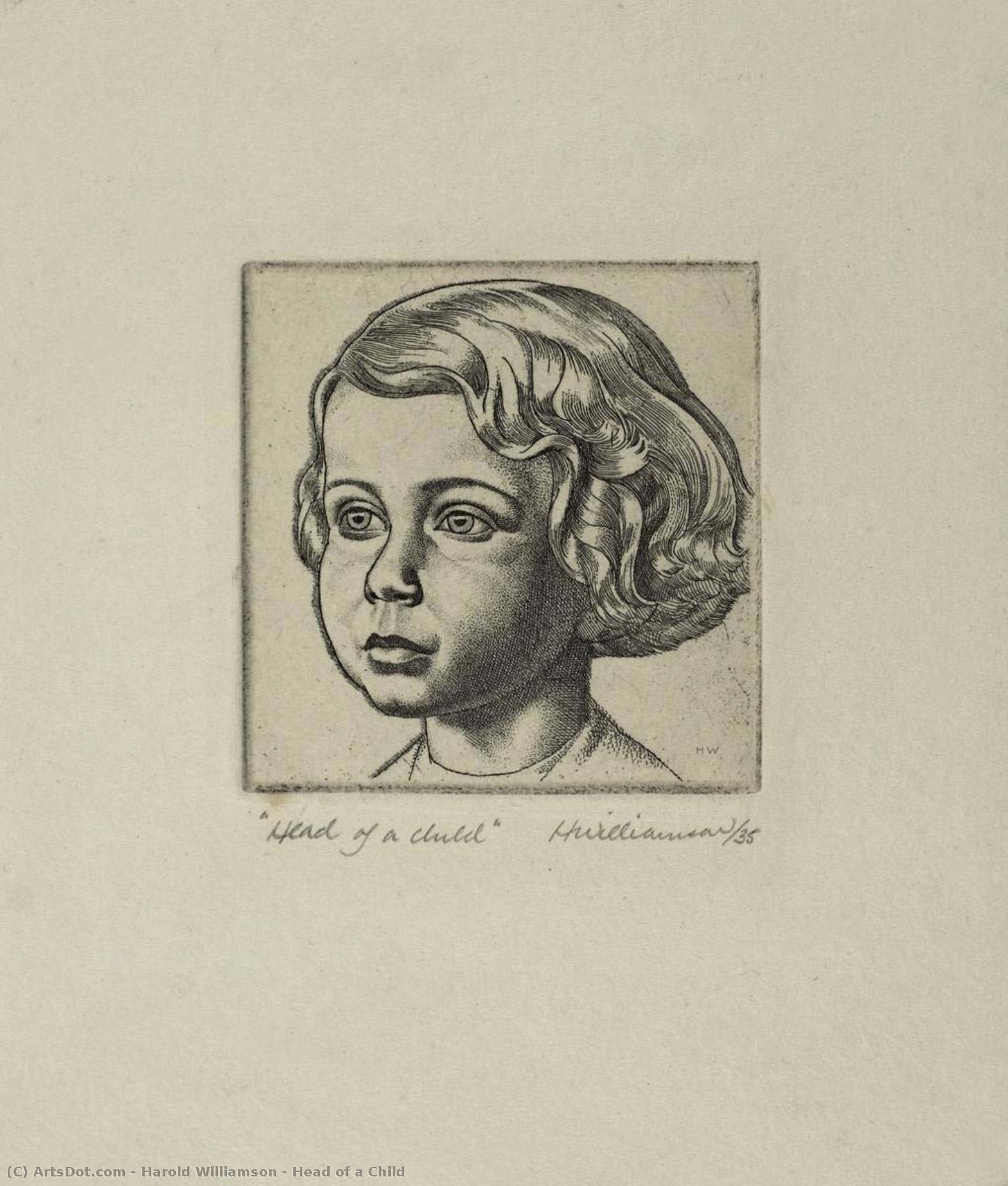 Wikioo.org – L'Enciclopedia delle Belle Arti - Pittura, Opere di Harold Williamson - testa di un bambino