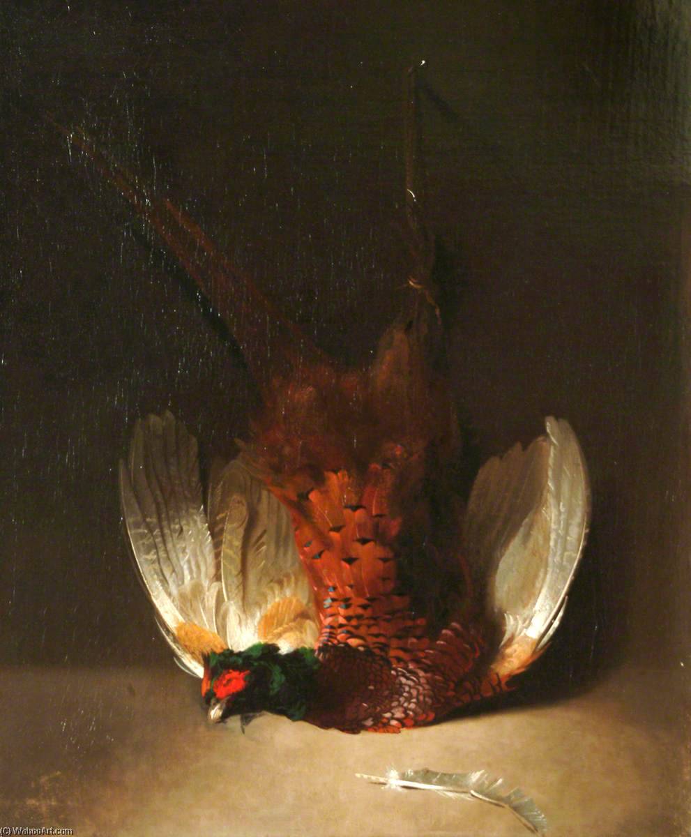 Wikioo.org - The Encyclopedia of Fine Arts - Painting, Artwork by Stephen Elmer - Dead Cock Pheasant
