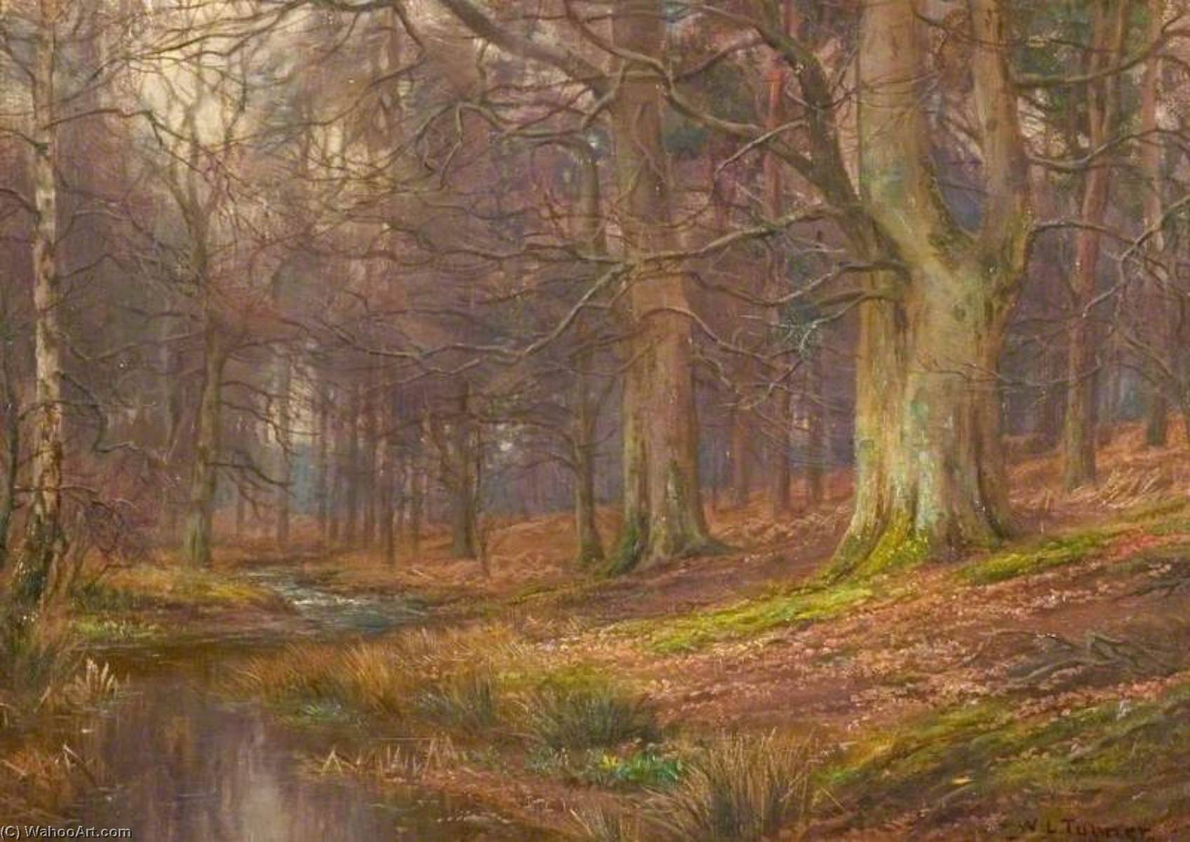 Wikioo.org - The Encyclopedia of Fine Arts - Painting, Artwork by William Lakin Turner - Evening in the Wood