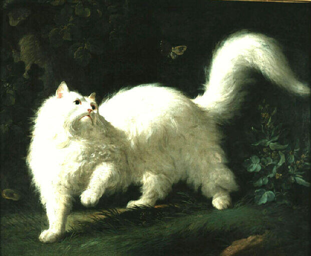 Wikioo.org - The Encyclopedia of Fine Arts - Painting, Artwork by Jean-Jacques Bachelier - Chat angora blanc guettant un papillon
